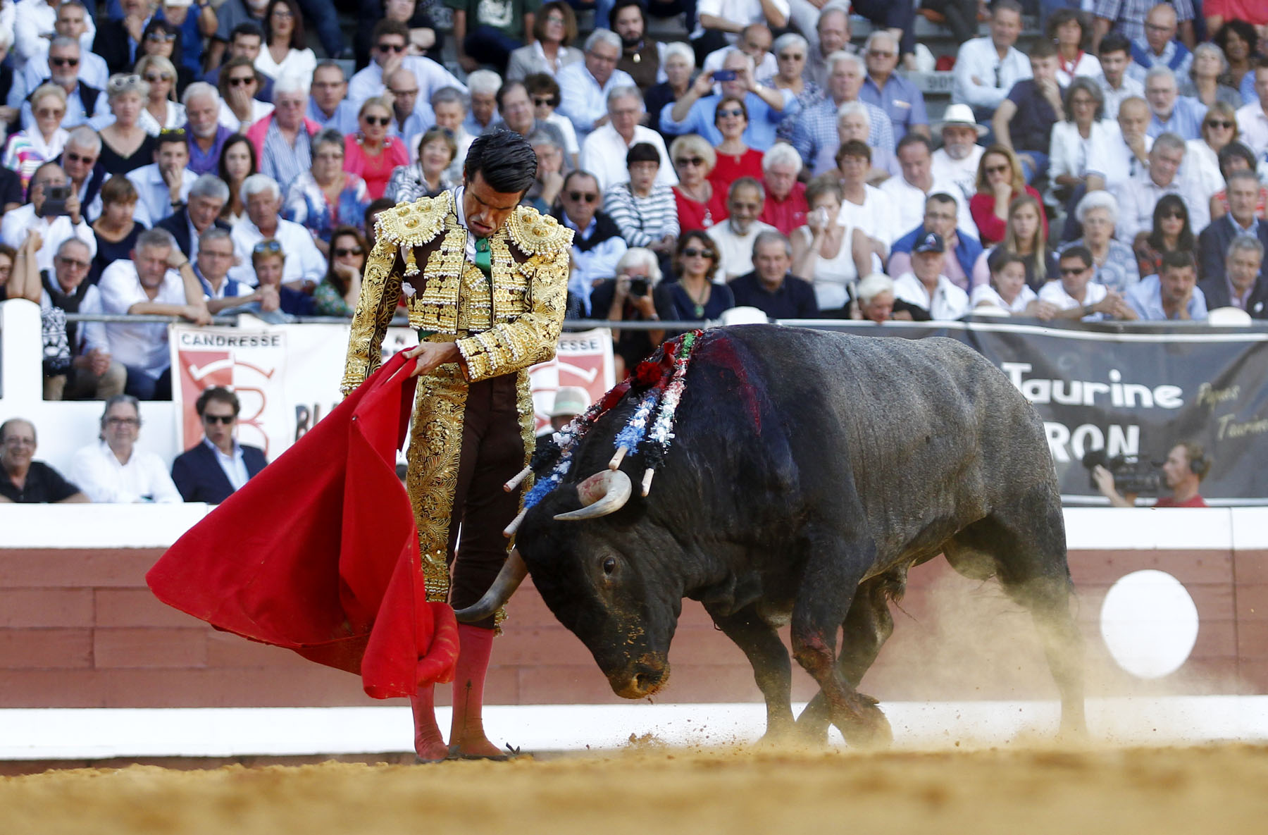 Dax, 7 de septiembre de 2019. Toros de Victorino Martín para Emilio de Justo, como único espada