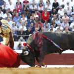 Dax, 7 de septiembre de 2019. Toros de Victorino Martín para Emilio de Justo, como único espada