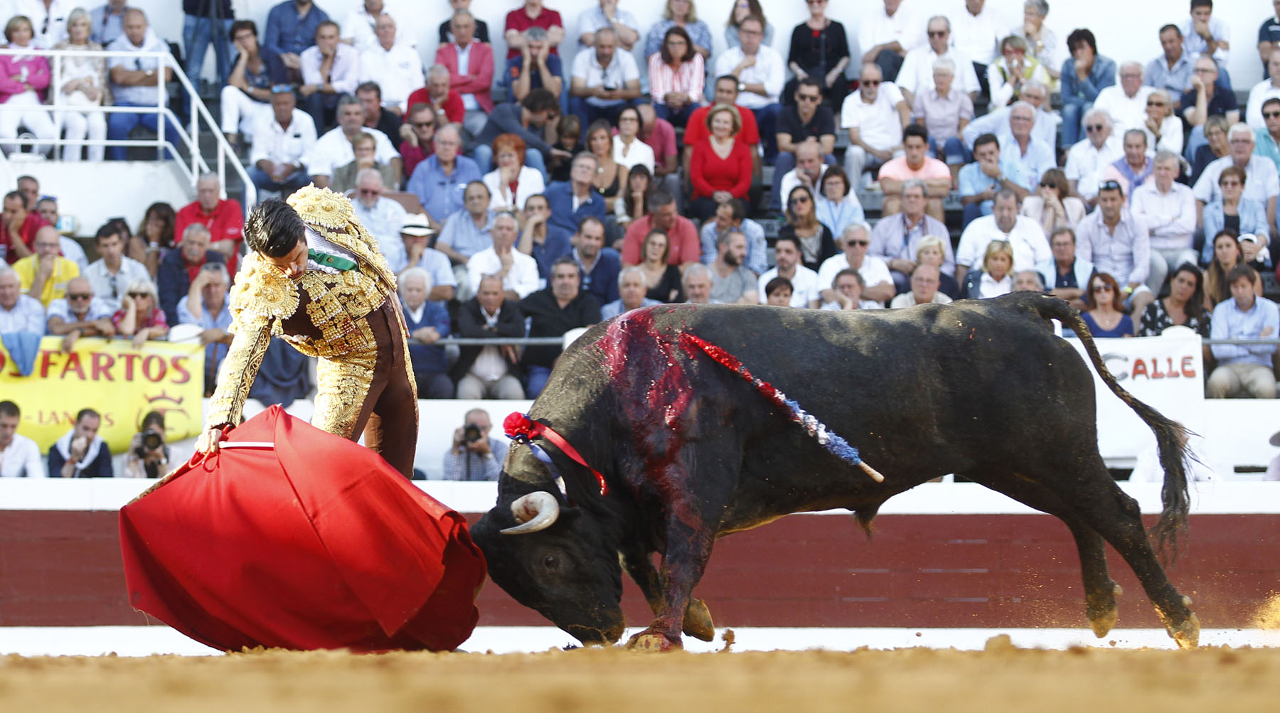 Dax, 7 de septiembre de 2019. Toros de Victorino Martín para Emilio de Justo, como único espada