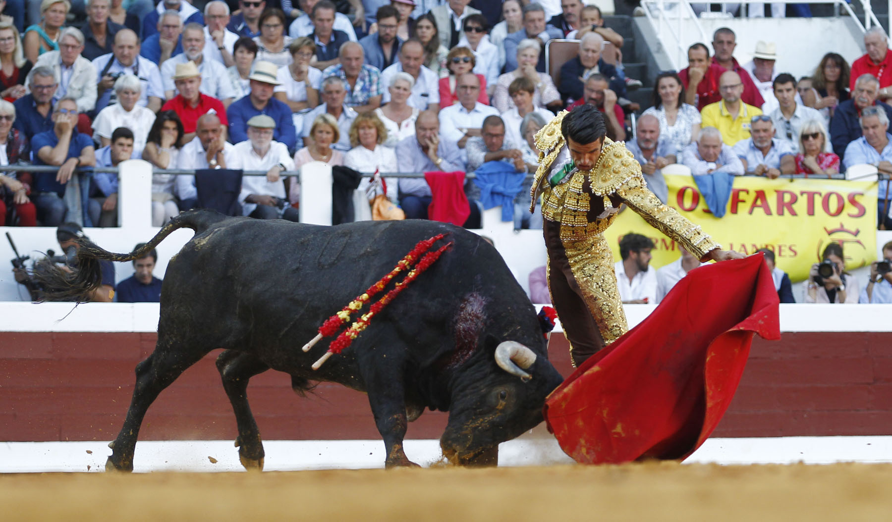 Dax, 7 de septiembre de 2019. Toros de Victorino Martín para Emilio de Justo, como único espada