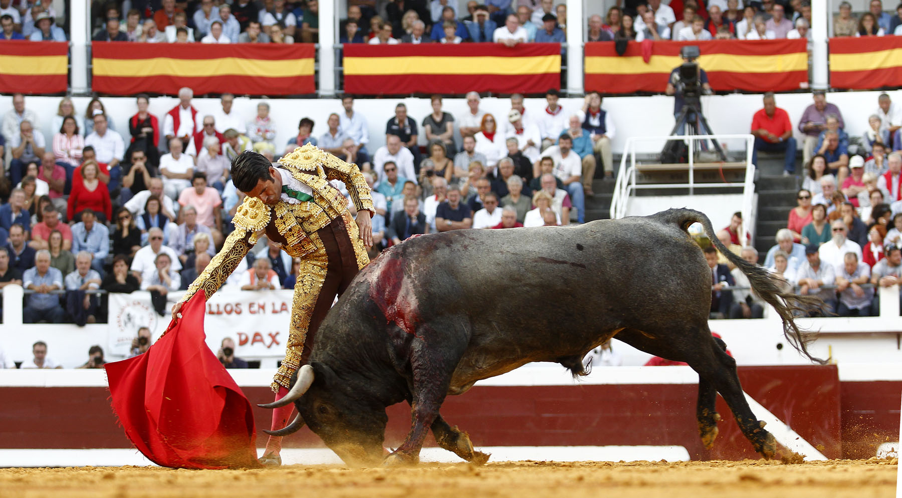 Dax, 7 de septiembre de 2019. Toros de Victorino Martín para Emilio de Justo, como único espada