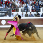 Dax, 7 de septiembre de 2019. Toros de Victorino Martín para Emilio de Justo, como único espada