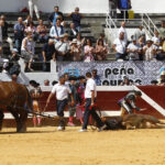 Dax, domingo 8 de septiembre de 2019. Novillada matinal