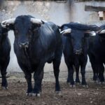 Sorteo. Salamanca, sábado 14 de septiembre de 2019