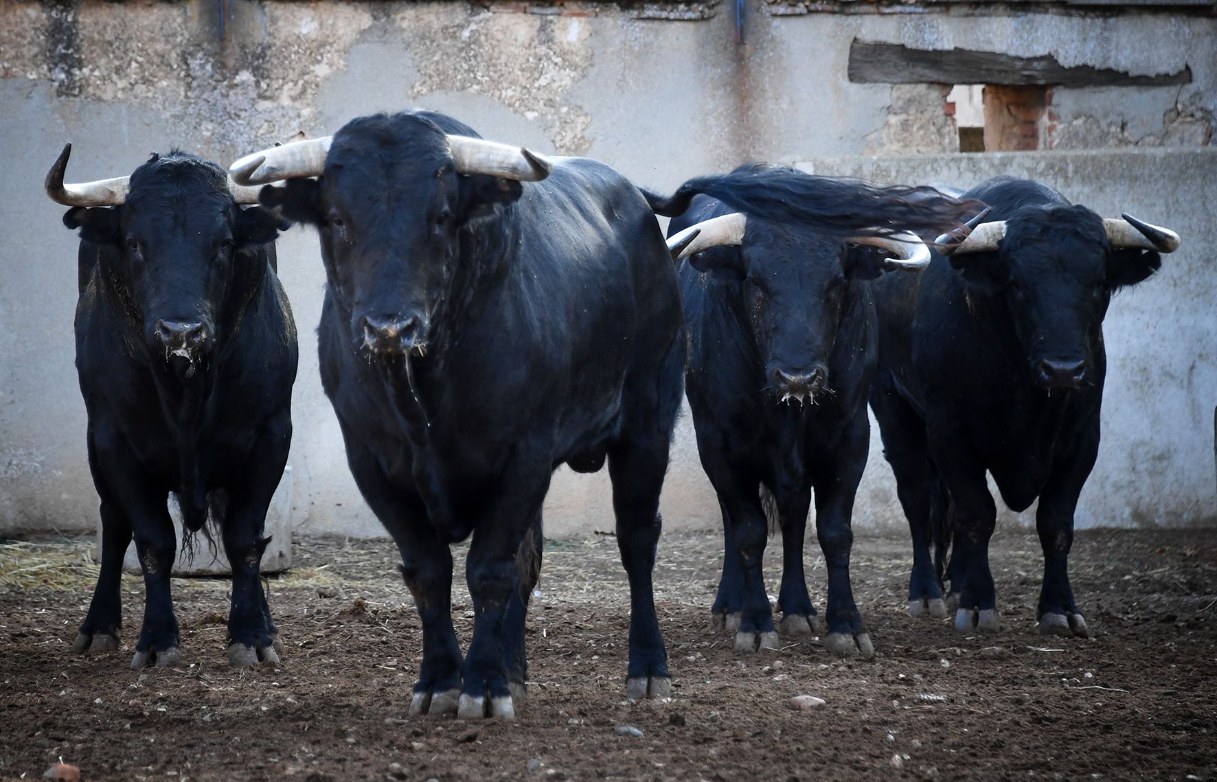 Sorteo. Salamanca, sábado 14 de septiembre de 2019