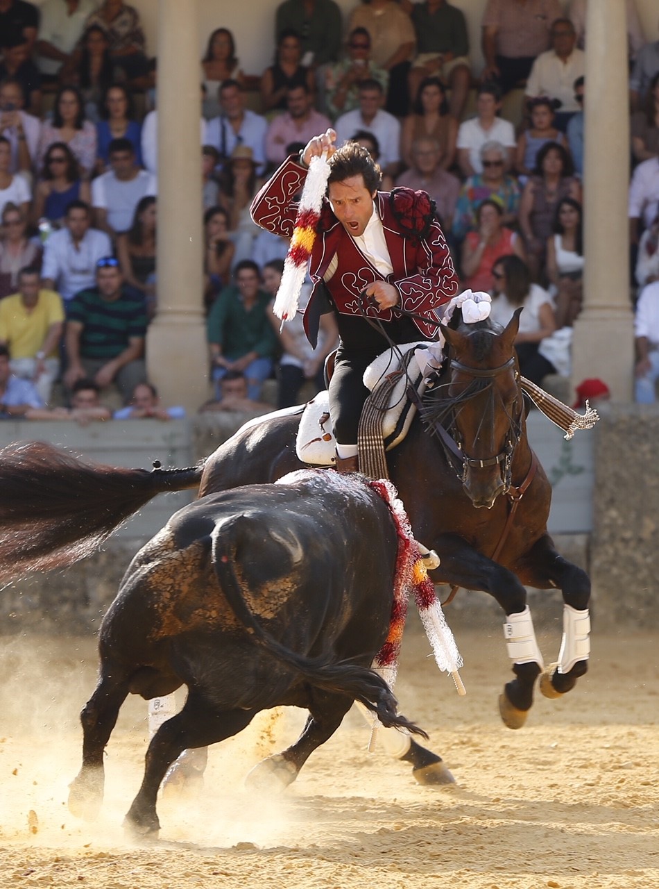 Ronda, domingo 1 de septiembre de 2019