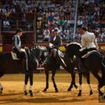 Palencia, domingo 1 de septiembre de 2019