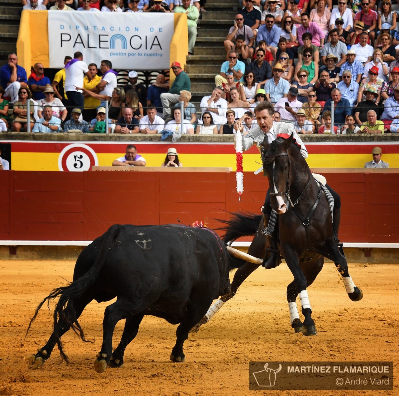 Palencia, domingo 1 de septiembre de 2019
