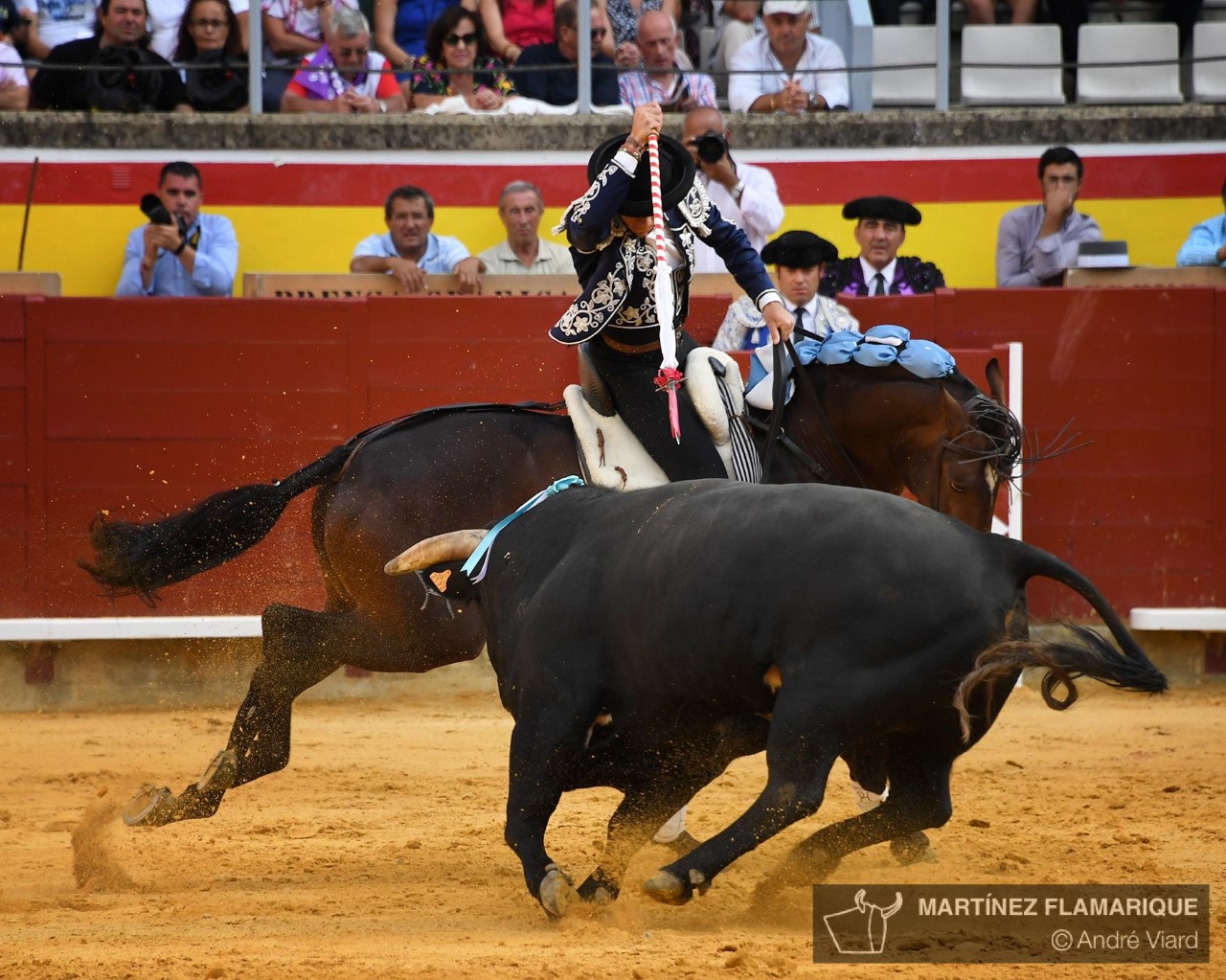 Palencia, domingo 1 de septiembre de 2019