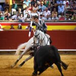 Palencia, domingo 1 de septiembre de 2019
