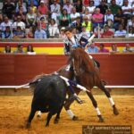 Palencia, domingo 1 de septiembre de 2019