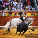 Palencia, domingo 1 de septiembre de 2019