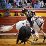 Palencia, domingo 1 de septiembre de 2019