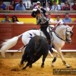 Palencia, domingo 1 de septiembre de 2019