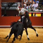 Palencia, domingo 1 de septiembre de 2019