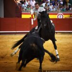 Palencia, domingo 1 de septiembre de 2019
