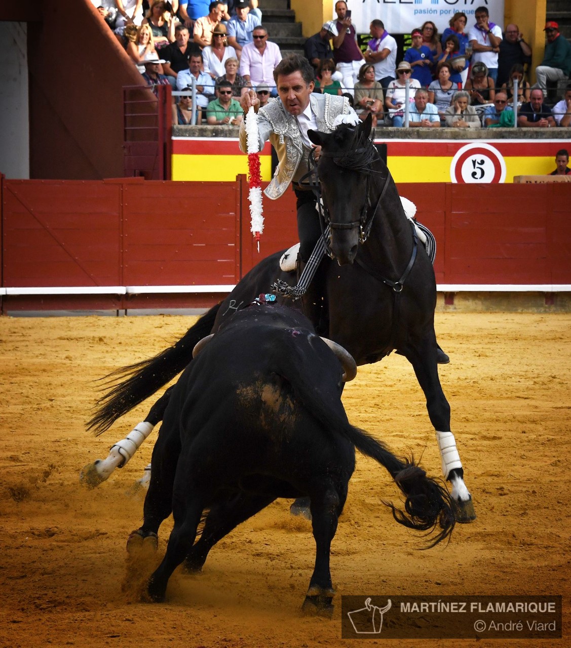Palencia, domingo 1 de septiembre de 2019