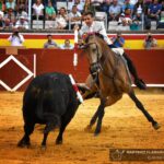 Palencia, domingo 1 de septiembre de 2019