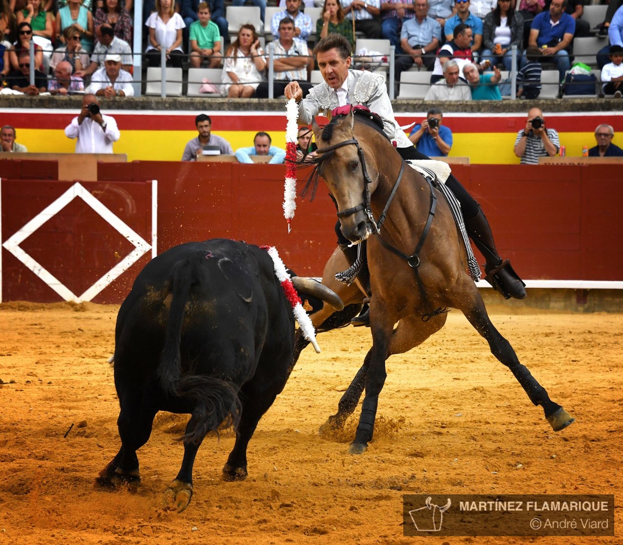 Palencia, domingo 1 de septiembre de 2019