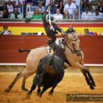 Palencia, domingo 1 de septiembre de 2019