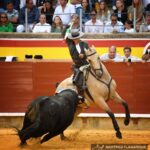 Palencia, domingo 1 de septiembre de 2019