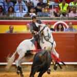 Palencia, domingo 1 de septiembre de 2019