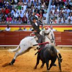 Palencia, domingo 1 de septiembre de 2019