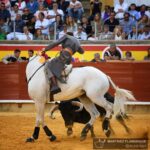 Palencia, domingo 1 de septiembre de 2019
