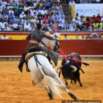 Palencia, domingo 1 de septiembre de 2019