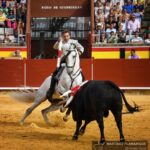 Palencia, domingo 1 de septiembre de 2019