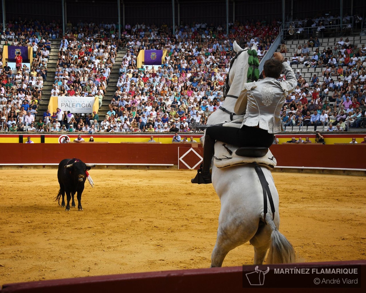 Palencia, domingo 1 de septiembre de 2019