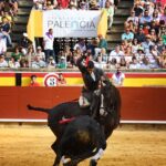 Palencia, domingo 1 de septiembre de 2019