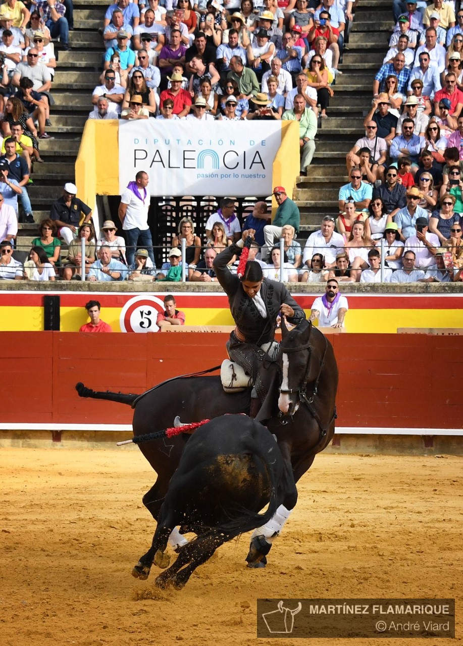 Palencia, domingo 1 de septiembre de 2019