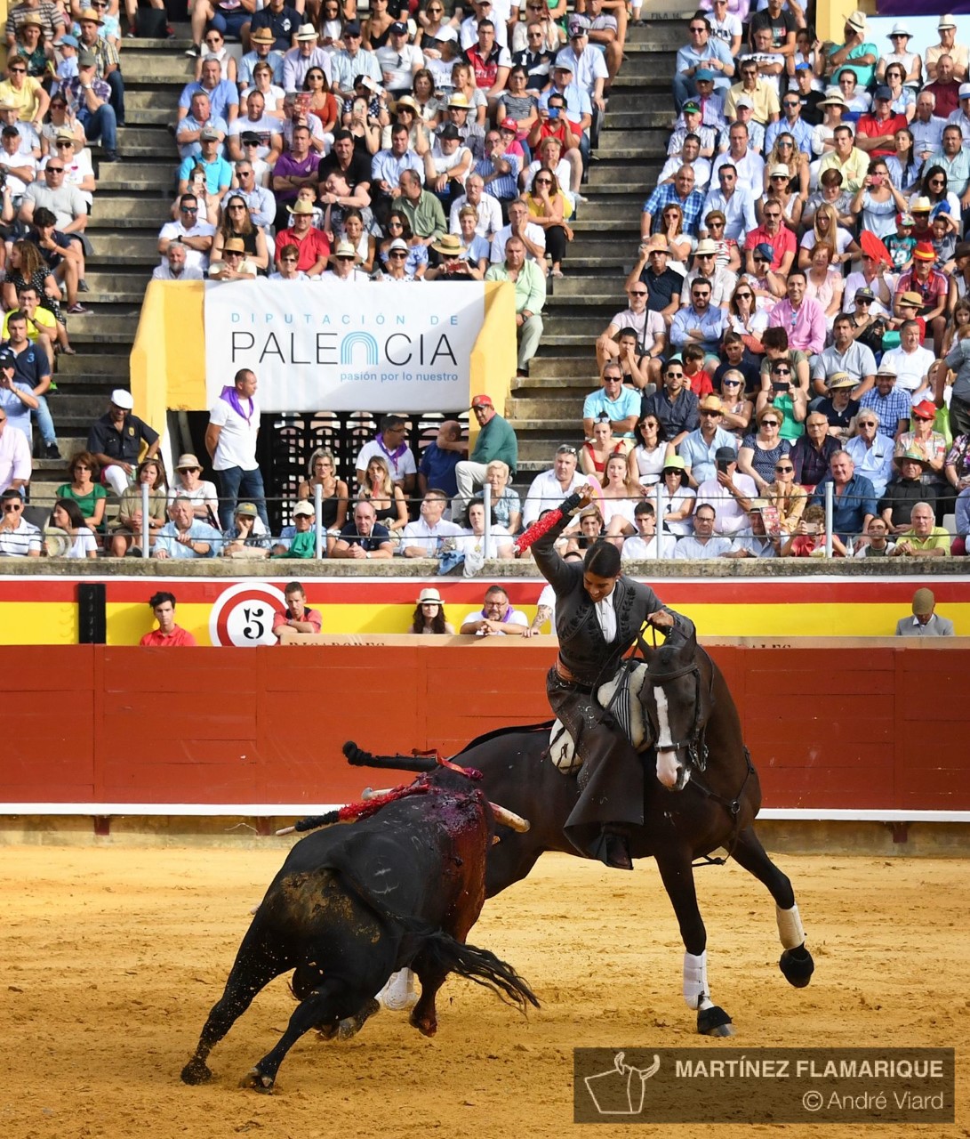 Palencia, domingo 1 de septiembre de 2019