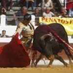 Dax, domingo 8 de septiembre de 2019. Novillada matinal