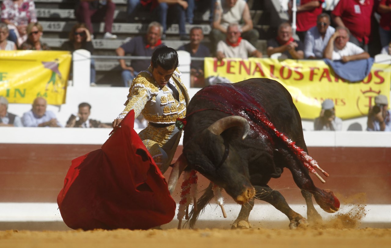 Dax, domingo 8 de septiembre de 2019. Novillada matinal