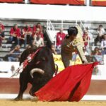 Dax, domingo 8 de septiembre de 2019. Novillada matinal