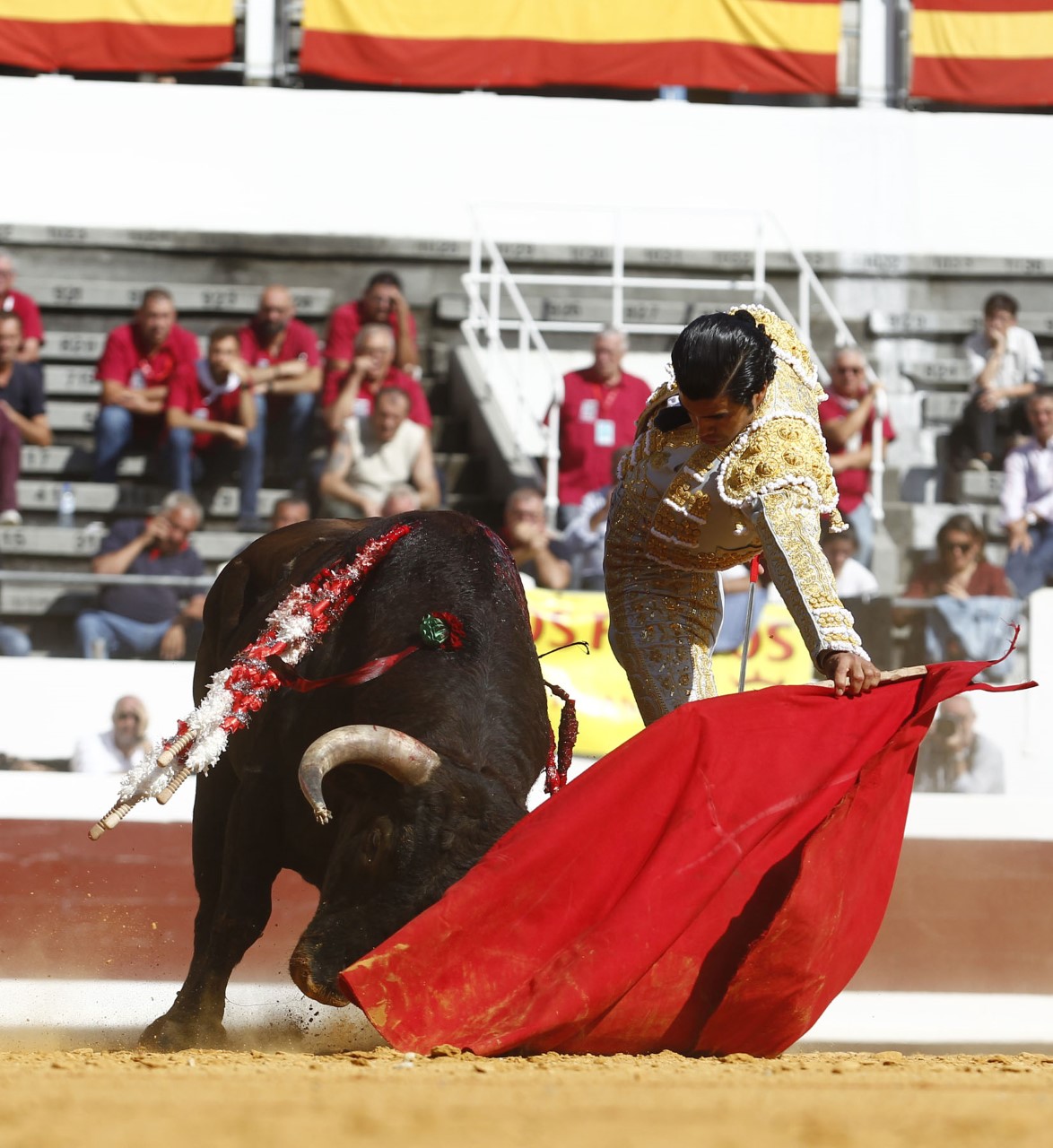 Dax, domingo 8 de septiembre de 2019. Novillada matinal