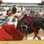 Dax, domingo 8 de septiembre de 2019. Novillada matinal