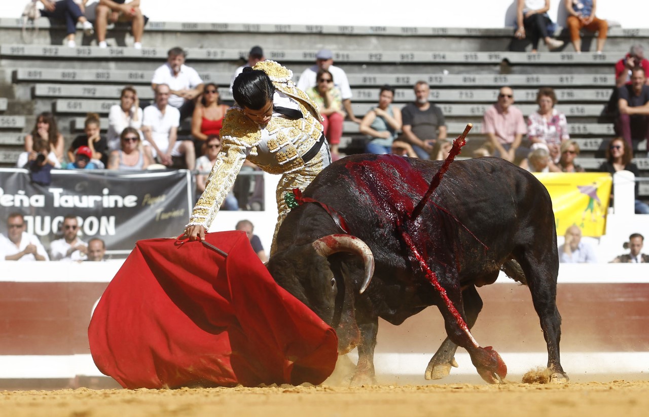 Dax, domingo 8 de septiembre de 2019. Novillada matinal