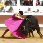 Dax, domingo 8 de septiembre de 2019. Novillada matinal