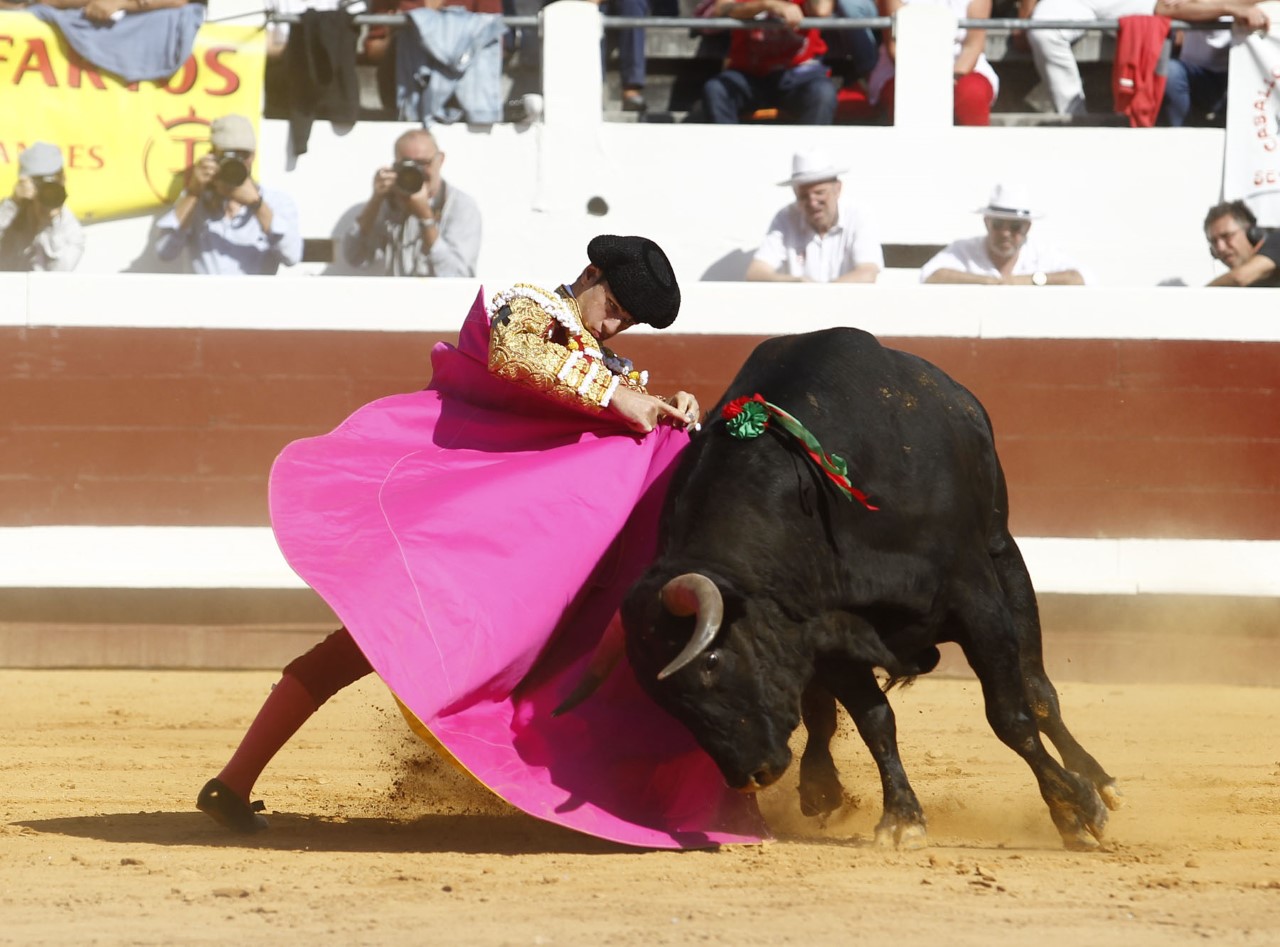 Dax, domingo 8 de septiembre de 2019. Novillada matinal