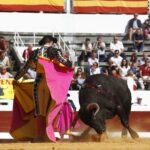 Dax, domingo 8 de septiembre de 2019. Novillada matinal