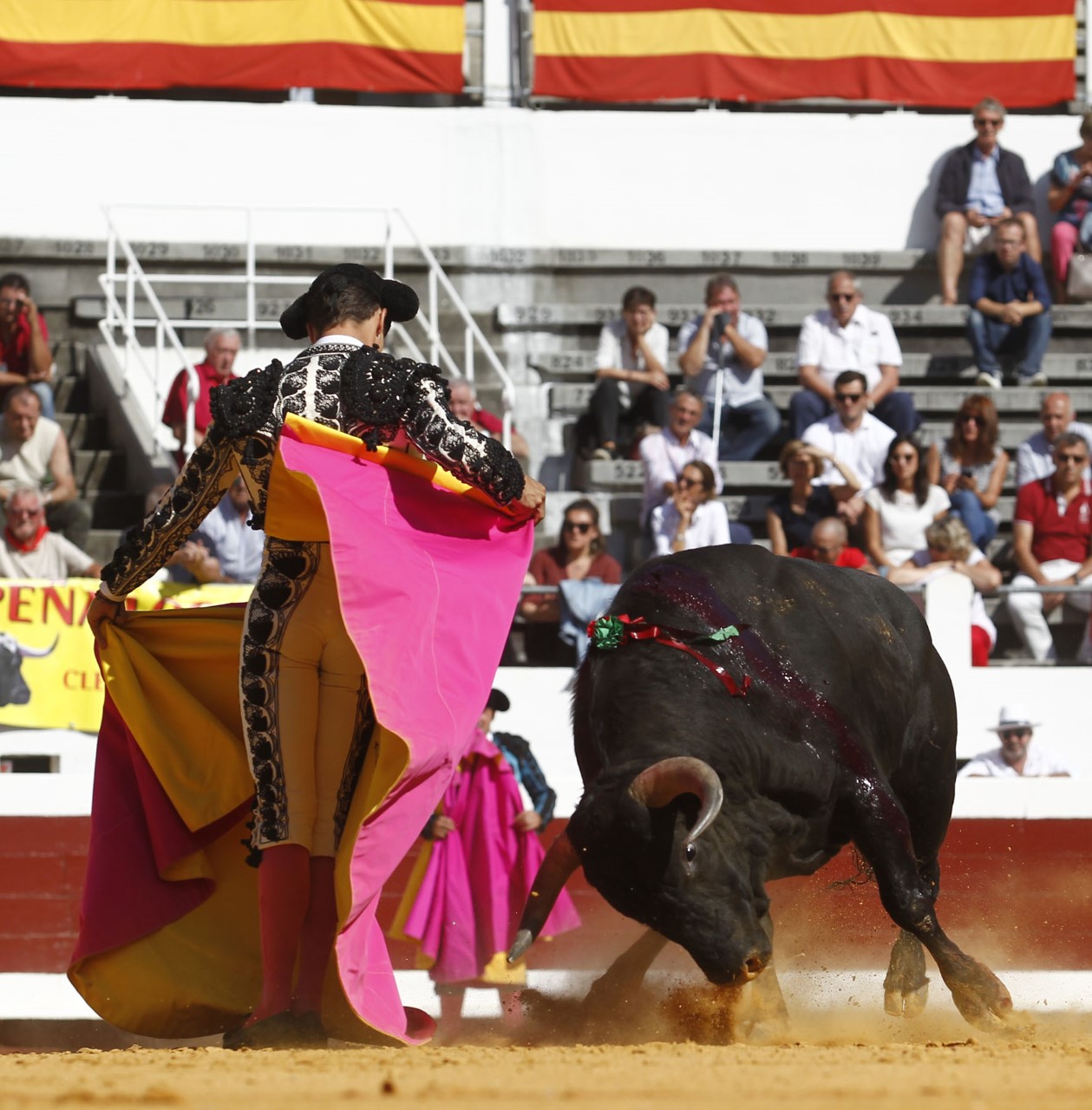 Dax, domingo 8 de septiembre de 2019. Novillada matinal