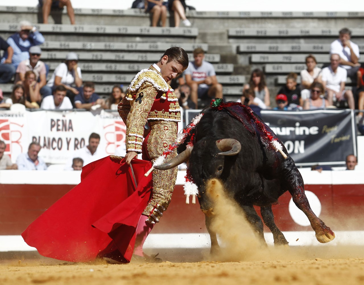 Dax, domingo 8 de septiembre de 2019. Novillada matinal
