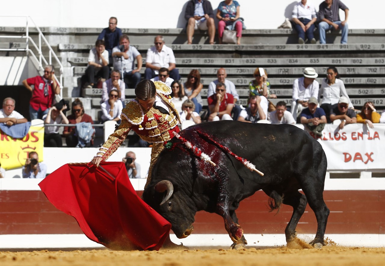 Dax, domingo 8 de septiembre de 2019. Novillada matinal