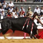 Dax, domingo 8 de septiembre de 2019. Novillada matinal