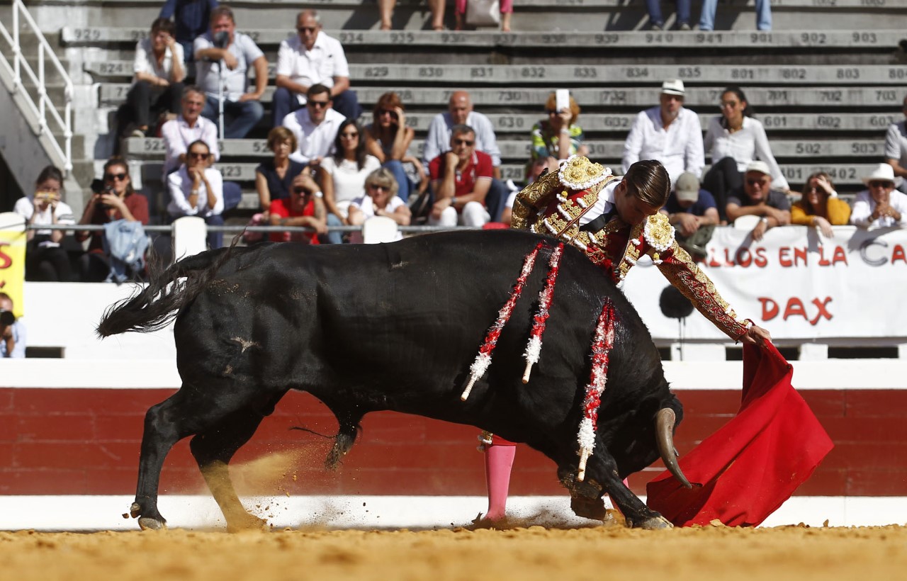 Dax, domingo 8 de septiembre de 2019. Novillada matinal