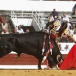 Dax, domingo 8 de septiembre de 2019. Novillada matinal