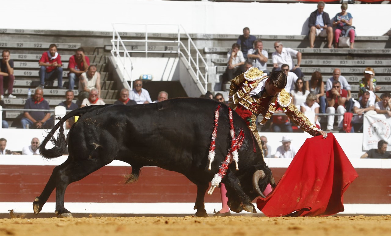 Dax, domingo 8 de septiembre de 2019. Novillada matinal